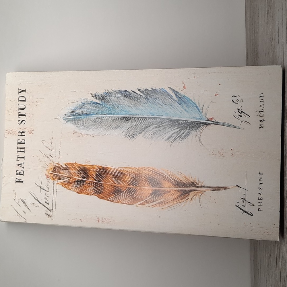 Beautiful Feather Study Design Artwork Note Pad Paper Set 3 Pads Booklet Tripad